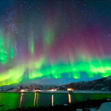 In The Heart Of The Aurora Borealis - Tromso City Экстерьер фото
